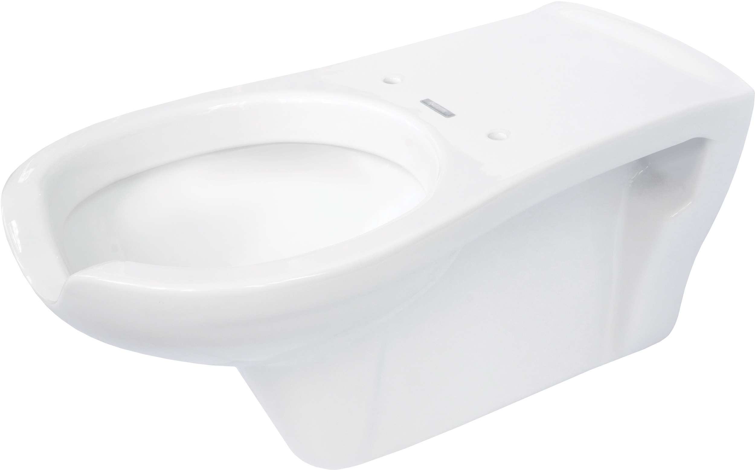 Vital - Miska WC wisząca dla osób z ograniczeniami ruchowymi