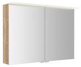 LINEX galérka s LED osvetlením, 100x70x15cm, dub Alabama